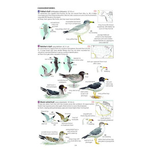 FIELD GUIDE TO THE BIRDS OF NORTH AMERICA 5