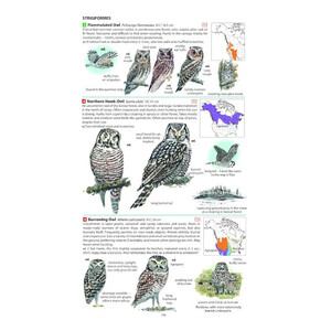 FIELD GUIDE TO THE BIRDS OF NORTH AMERICA 7