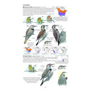 FIELD GUIDE TO THE BIRDS OF NORTH AMERICA 8