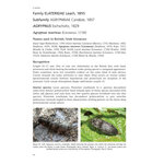 CLICK-BEETLES OF GREAT BRITAIN AND IRELAND. AN ATLAS AND NATURAL HISTORY_1