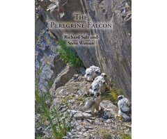 THE PEREGRINE FALCON