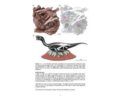 THE PEREGRINE FALCON 3