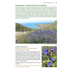 WILD FLOWERS OF COASTAL ANDALUCÍA. A PHOTOGRAPHIC FIELD GUIDE 3