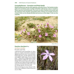 WILD FLOWERS OF COASTAL ANDALUCÍA. A PHOTOGRAPHIC FIELD GUIDE 4