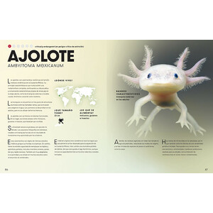 EL GRAN LIBRO DE LOS ANIMALES SALVAJES 4