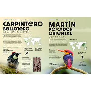 EL GRAN LIBRO DE LOS ANIMALES SALVAJES 5