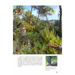 FLORA I FAUNA DEL PARC NATURAL SERRA DE COLLSEROLA 3
