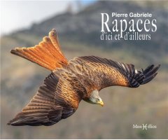 RAPACES D'ICI ET D'AILLEURS
