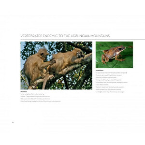 UDZUNGWA. TALES OF DISCOVERY IN AN EAST AFRICAN RAINFOREST_1