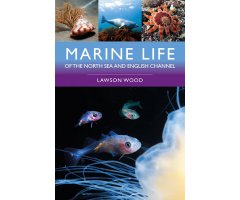 MARINE LIFE OF THE NORTH SEA AND ENGLISH CHANNEL