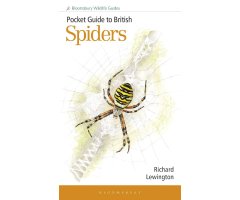 POCKET GUIDE TO BRITISH SPIDERS 