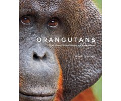 ORANGUTANS. THEIR HISTORY, NATURAL HISTORY AND CONSERVATION