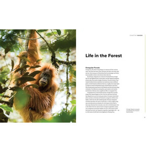 ORANGUTANS. THEIR HISTORY, NATURAL HISTORY AND CONSERVATION_1