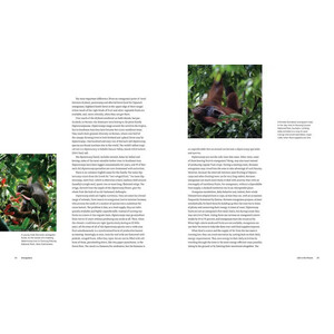 ORANGUTANS. THEIR HISTORY, NATURAL HISTORY AND CONSERVATION 3