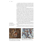 NATURALISTS' HANDBOOKS 24. ANTS_1