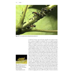 NATURALISTS' HANDBOOKS 24. ANTS 3
