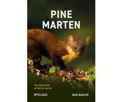PINE MARTEN. THE SECRET LIFE OF MARTES MARTES