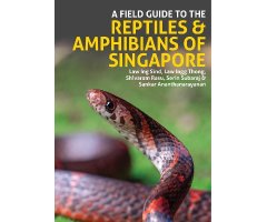 A FIELD GUIDE TO THE REPTILES & AMPHIBIANS OF SINGAPORE