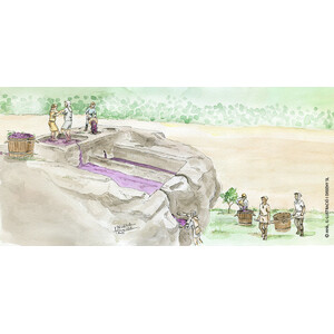 ESPAIS NATURALS PROTEGITS DELS SECANS DE LLEIDA 5