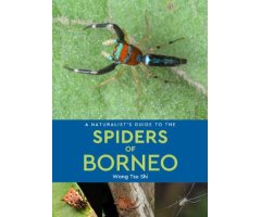 A NATURALIST\'S GUIDE TO THE SPIDERS OF BORNEO