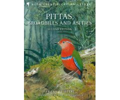 PITTAS, BROADBILLS AND ASITIES 