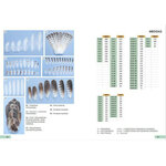 GUÍA DE IDENTIFICACIÓN DE LAS PLUMAS DE LAS RAPACES DIURNAS DE LA PENÍNSULA IBÉRICA, BALEARES Y CANARIAS 3