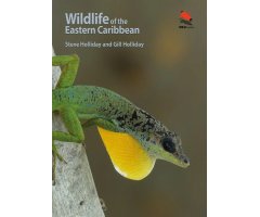WILDLIFE OF THE EASTERN CARIBBEAN