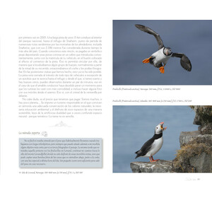 RUMBO ÁRTICO. FOTOGRAFIANDO LA NATURALEZA EN EL CÍRCULO POLAR 4