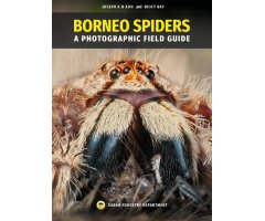 BORNEO SPIDERS. A PHOTOGRAPHIC FIELD GUIDE