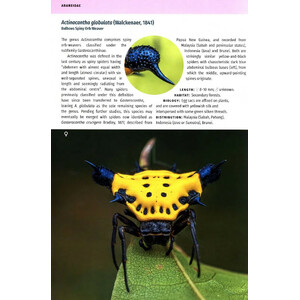 BORNEO SPIDERS. A PHOTOGRAPHIC FIELD GUIDE_1