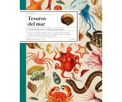 TESOROS DEL MAR. CELEBRACIÓN DE LA BELLEZA SUMERGIDA