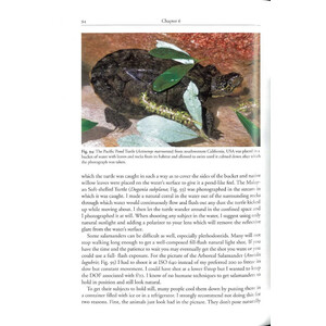 TECHNIQUES FOR PHOTOGRAPHING REPTILES AND AMPHIBIANS IN THE FIELD. HOW TO TELL BETTER STORIES 4