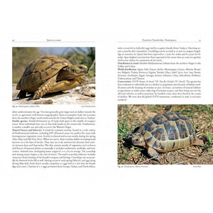 FIELD GUIDE TO THE AMPHIBIANS AND REPTILES OF ISRAEL_1