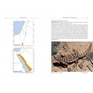 FIELD GUIDE TO THE AMPHIBIANS AND REPTILES OF ISRAEL 4