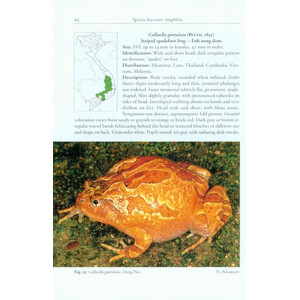 A PHOTOGRAPHIC FIELD GUIDE TO THE AMPHIBIANS AND REPTILES OF THE LOWLAND MONSOON FORESTS OF SOUTHERN VIETNAM_1