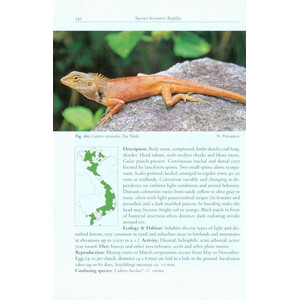 A PHOTOGRAPHIC FIELD GUIDE TO THE AMPHIBIANS AND REPTILES OF THE LOWLAND MONSOON FORESTS OF SOUTHERN VIETNAM 3