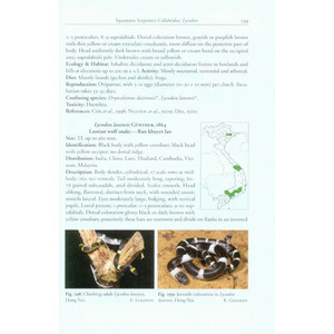 A PHOTOGRAPHIC FIELD GUIDE TO THE AMPHIBIANS AND REPTILES OF THE LOWLAND MONSOON FORESTS OF SOUTHERN VIETNAM 5