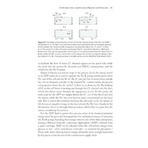 THE PHYSICS OF BIRDS AND BIRDING: THE SOUNDS, COLORS AND MOVEMENTS OF BIRDDS, AND OUR TOOLS FOR WATCHING THEM 3