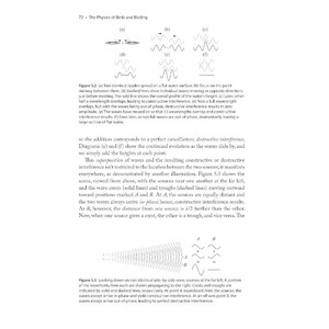 THE PHYSICS OF BIRDS AND BIRDING: THE SOUNDS, COLORS AND MOVEMENTS OF BIRDDS, AND OUR TOOLS FOR WATCHING THEM 4