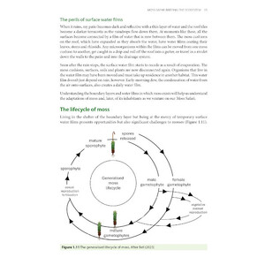 MOSS SAFARI: EXPLORING THE SECRET LIFE IN MOSS_1