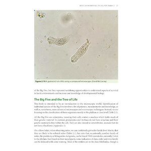 MOSS SAFARI: EXPLORING THE SECRET LIFE IN MOSS 3