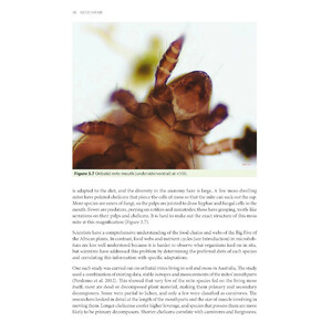 MOSS SAFARI: EXPLORING THE SECRET LIFE IN MOSS 4