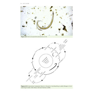 MOSS SAFARI: EXPLORING THE SECRET LIFE IN MOSS 5