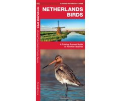 NETHERLANDS BIRDS. A FOLDING POCKET GUIDE TO FAMILIAR SPECIES
