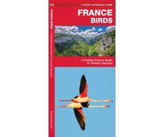 FRANCE BIRDS. A FOLDING POCKET GUIDE TO FAMILIAR SPECIES