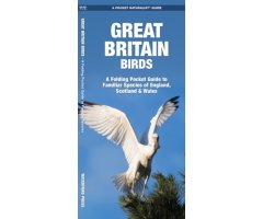 GREAT BRITAIN BIRDS. A FOLDING POCKET GUIDE TO FAMILIAR SPECIES