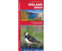 IRELAND BIRDS. A FOLDING POCKET GUIDE TO FAMILIAR SPECIES