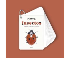 FIJATE: INSECTOS