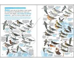GUÍA DE LAS AVES DESESPERANTES DE ESPAÑA 2