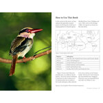 A PHOTOGRAPHIC GUIDE TO THE BIRDS OF INDONESIA 4
